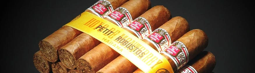 Hoyo de Monterrey Zigarren