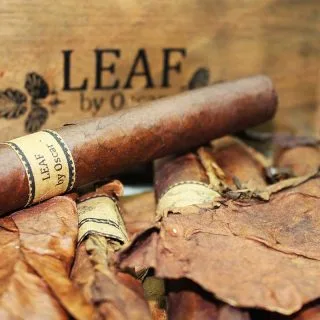 Leaf by Oscar auf Tabakblätter