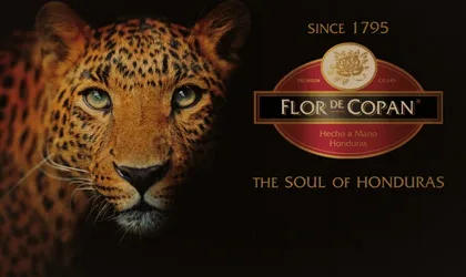 Flor de Copan Special Edition